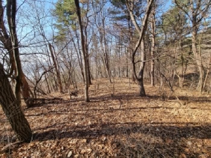 충청남도 금산군 금산읍 하옥리 산23-4
