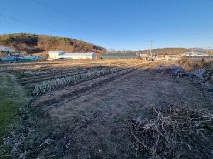 충청남도 금산군 금산읍 신대리 295-2