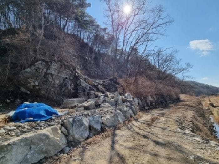 충청남도 금산군 부리면 신촌리 113-5