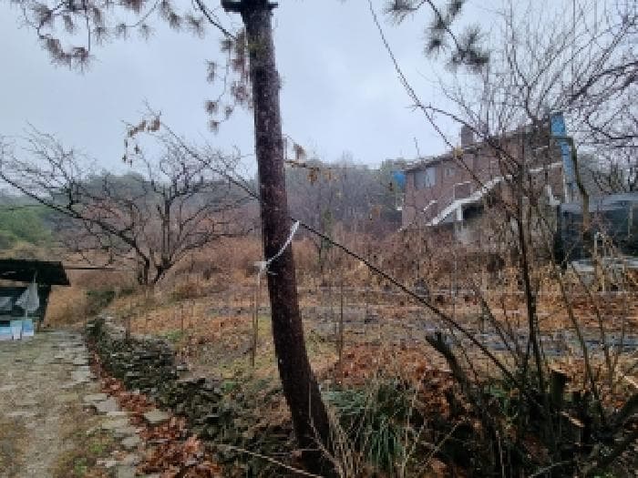 대전광역시 동구 낭월동 288-59
