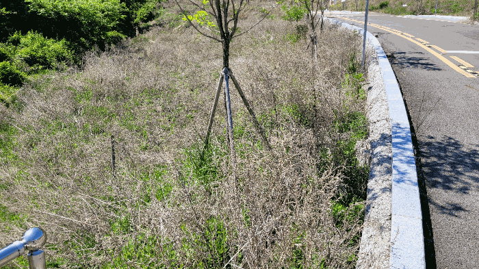 세종특별자치시  장군면 산학리 66-29