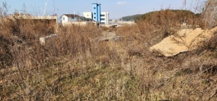 충청남도 보령시 남포면 월전리 684-2
