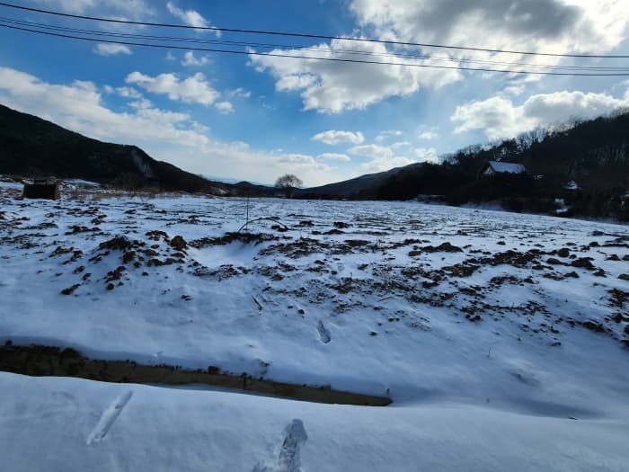 충청남도 예산군 덕산면 상가리 372