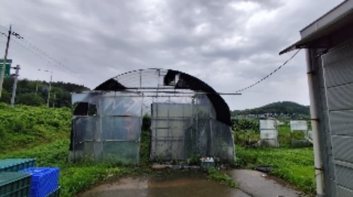 충청남도 서천군 비인면 관리 286