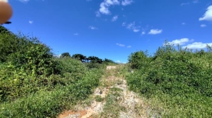 충청남도 보령시 남포면 제석리 153-7
