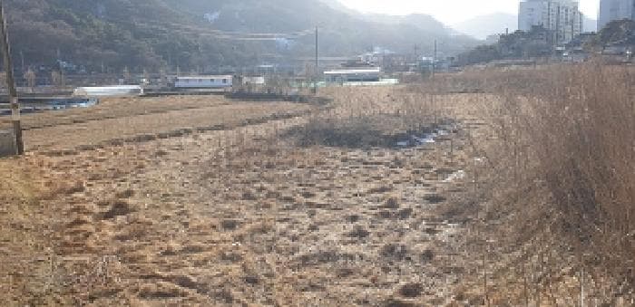 충청남도 예산군 덕산면 시량리 430