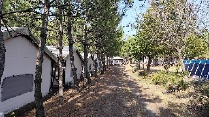 충청남도 서천군 서면 월호리 78-1