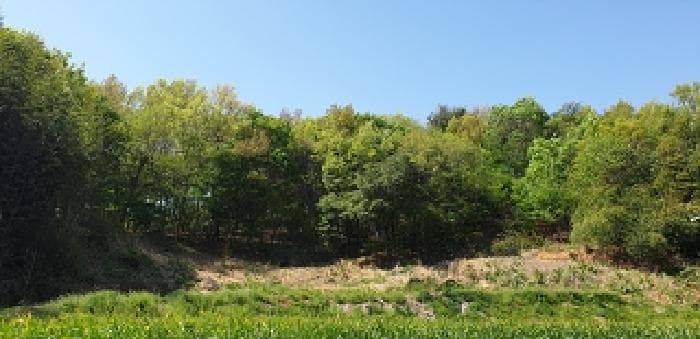 충청남도 홍성군 서부면 광리 산40