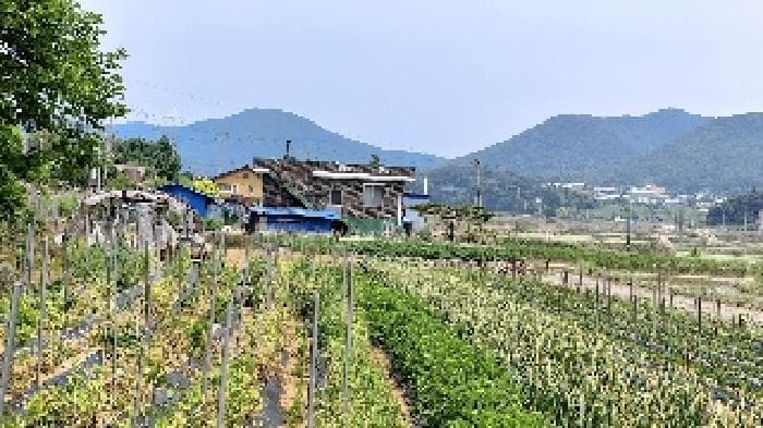 충청남도 보령시 주교면 신대리 1350-9