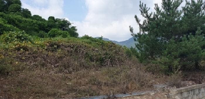 충청남도 예산군 덕산면 대치리 85-6