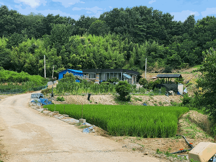 충청남도 홍성군 금마면 부평리 626