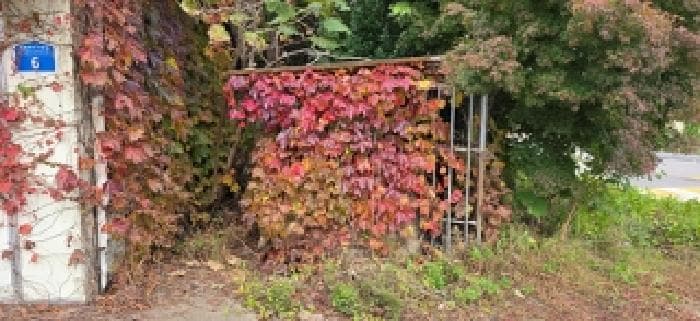 충청남도 홍성군 홍성읍 고암리 632-1