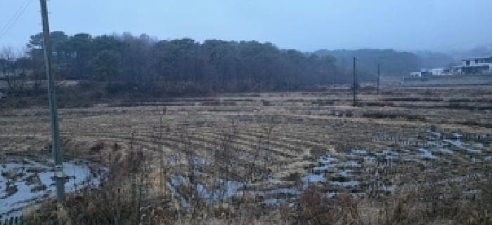충청남도 홍성군 홍성읍 소향리 288-2