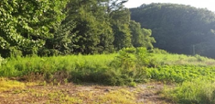 충청남도 예산군 신양면 하천리 73