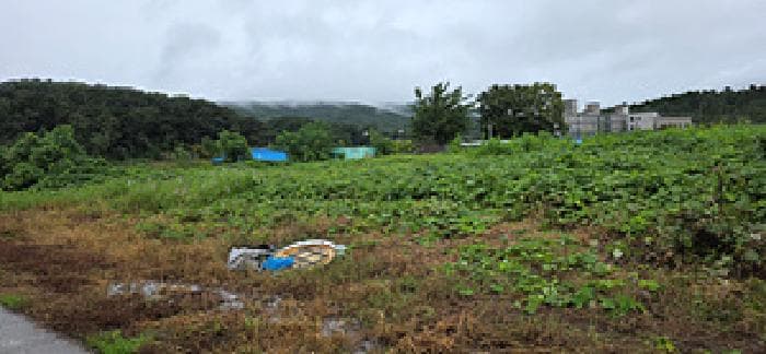 충청남도 예산군 덕산면 옥계리 59-1