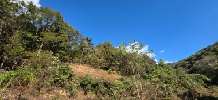 충청남도 예산군 대술면 이티리 산146-1