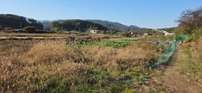 충청남도 예산군 덕산면 신평리 466