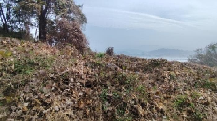 충청남도 홍성군 은하면 유송리 416-5