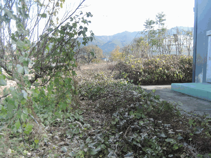 충청남도 보령시 남포면 창동리 162-1