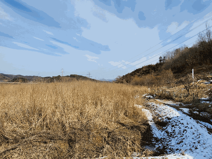 충청남도 예산군 신양면 녹문리 177-2
