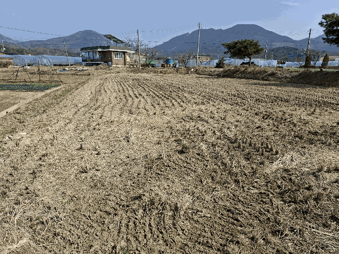 충청남도 예산군 예산읍 신례원리 504