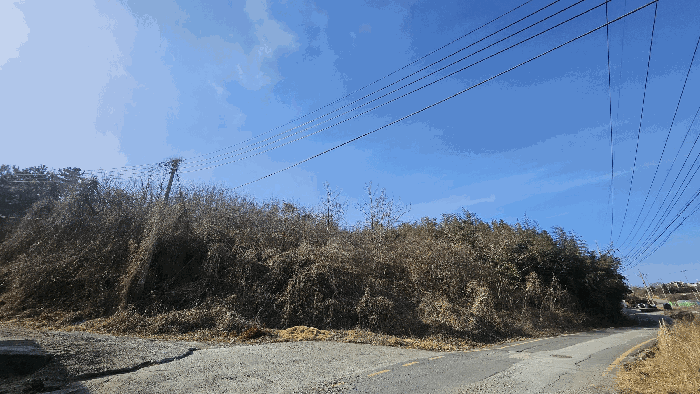 충청남도 보령시 오천면 원산도리 산82-7