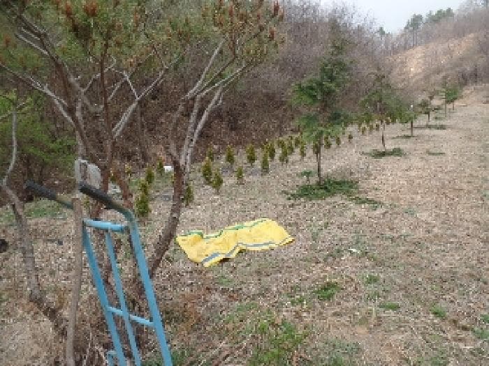 충청남도 계룡시 엄사면 도곡리 산20