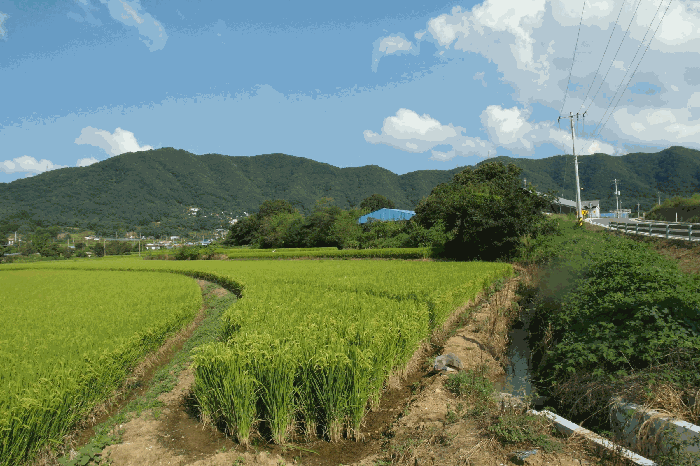 충청남도 논산시 연산면 신암리 87-9