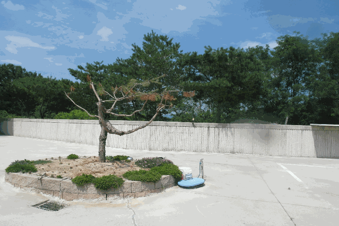 충청남도 논산시 부적면 신교리 147-37