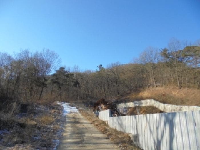 충청남도 부여군 부여읍 능산리 산49-11
