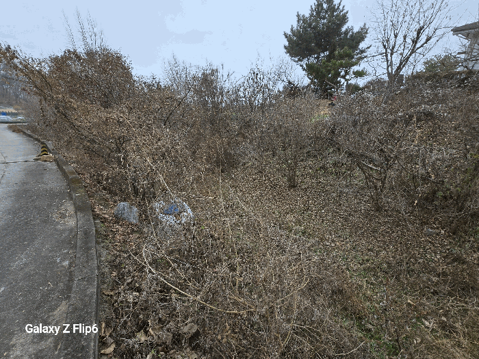 충청남도 논산시 연산면 신양리 1-35