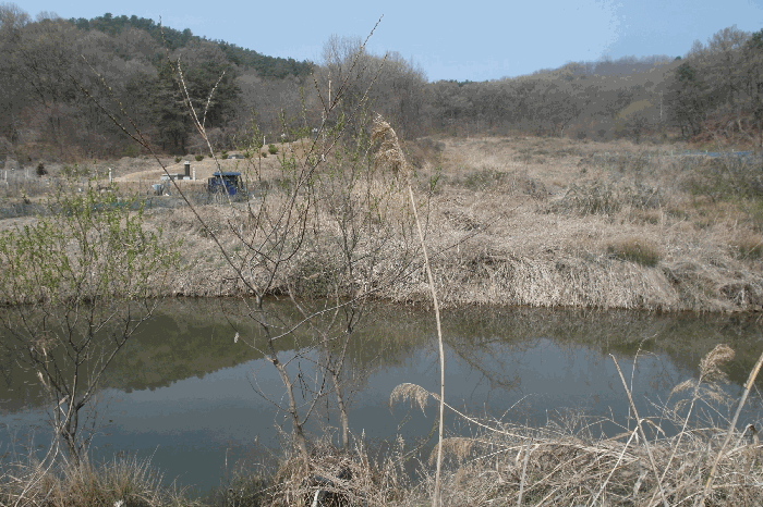 충청남도 논산시 노성면 가곡리 148