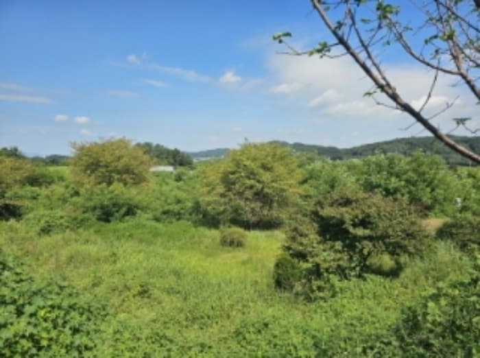 충청남도 천안시 동남구 풍세면 가송리 79-9