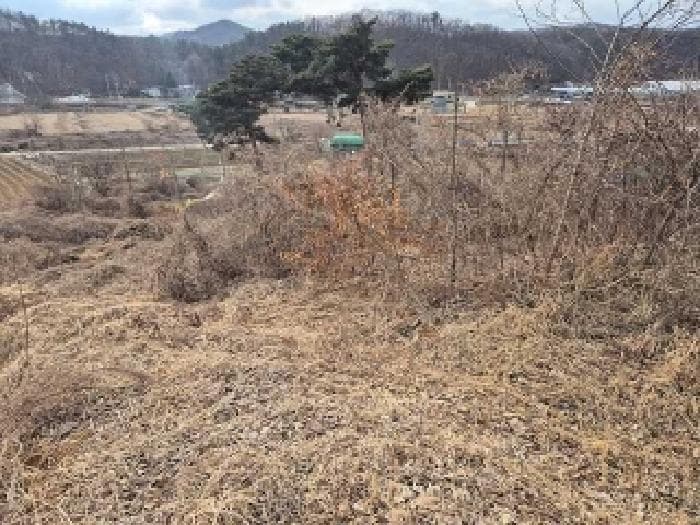 충청남도 천안시 서북구 입장면 호당리 115-1