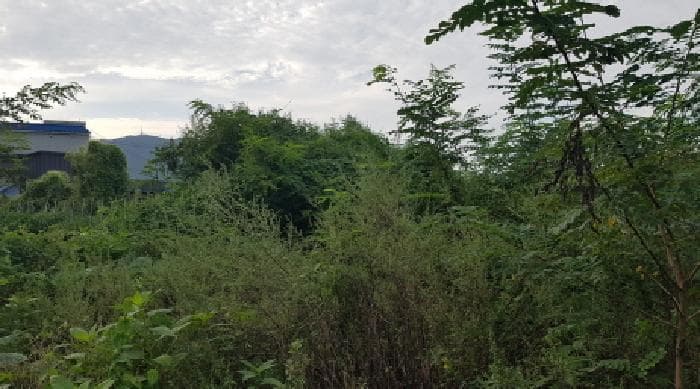충청남도 천안시 동남구 목천읍 동평리 147-20