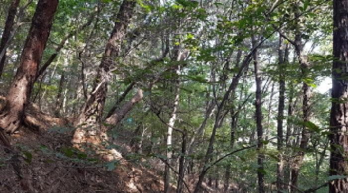 충청남도 천안시 동남구 목천읍 삼성리 산67-2