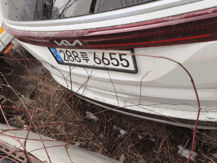 기아 카니발 2022년식