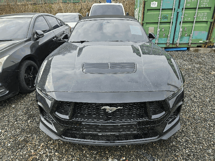 포드 Mustang GT 5.0L Convertible 2024년식