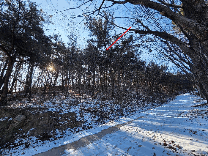 충청남도 아산시 영인면 아산리 산63-8