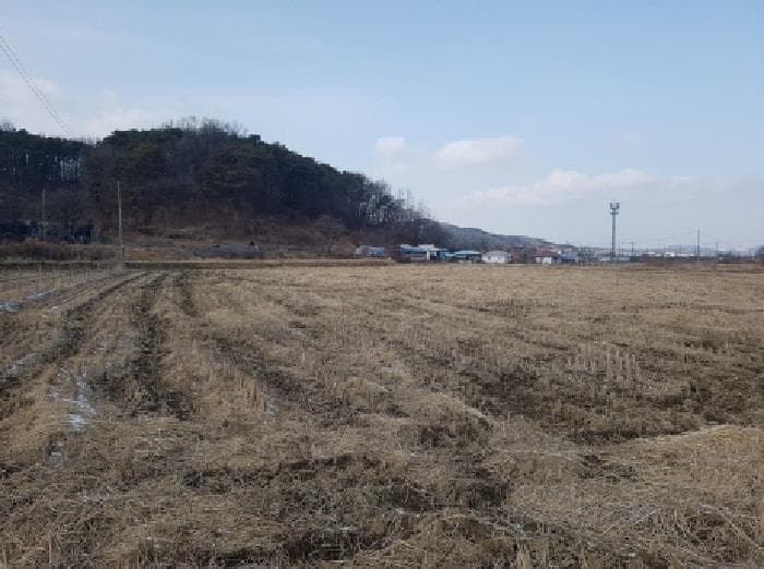 충청남도 천안시 동남구 광덕면 신흥리 181-1