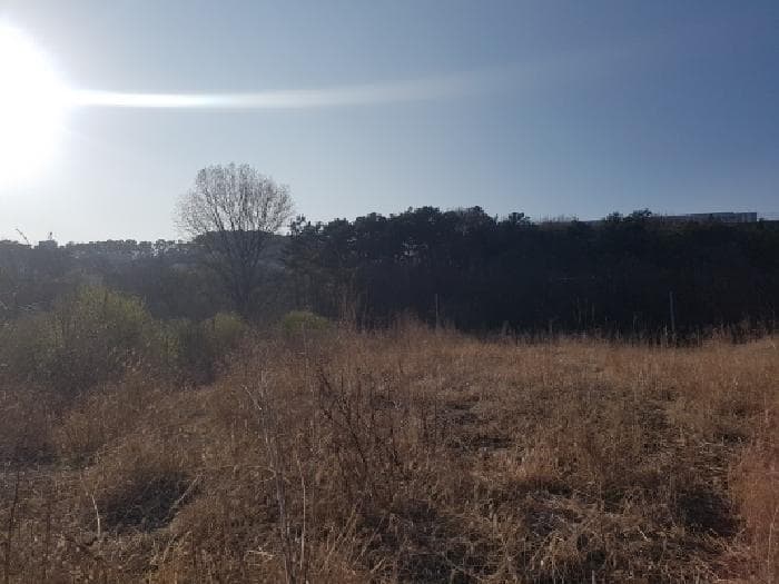 충청남도 천안시 동남구 풍세면 미죽리 161