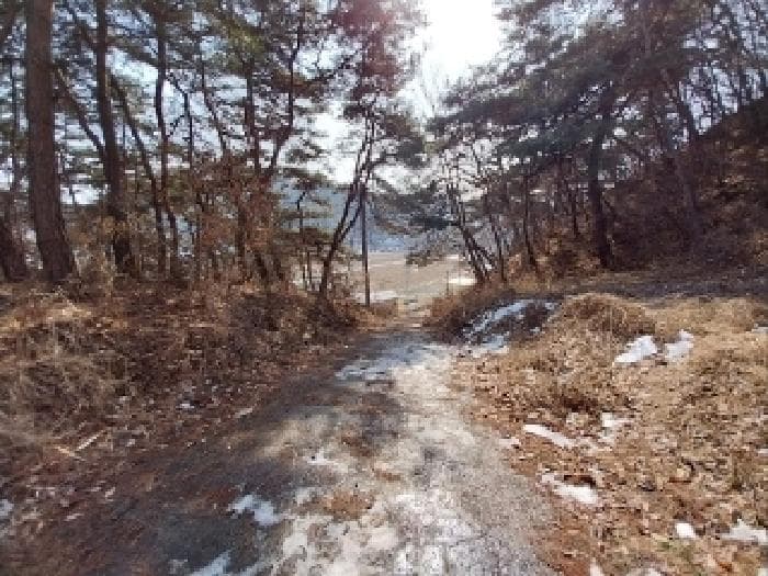 충청남도 공주시 유구읍 신영리 861-99