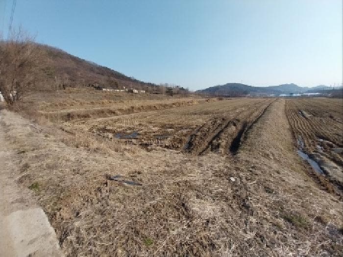 충청남도 공주시 이인면 신영리 121-2