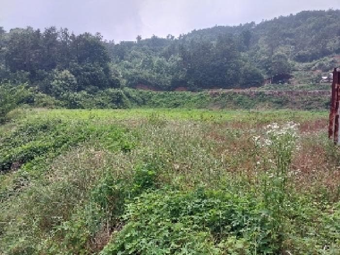 충청남도 공주시 우성면 동대리 306