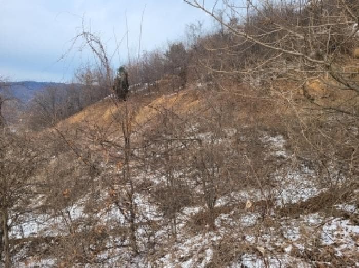 충청남도 공주시 정안면 장원리 산15-31