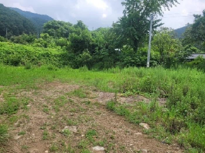 충청남도 공주시 신풍면 영정리 36