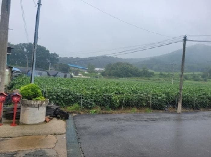 충청남도 공주시 의당면 가산리 98