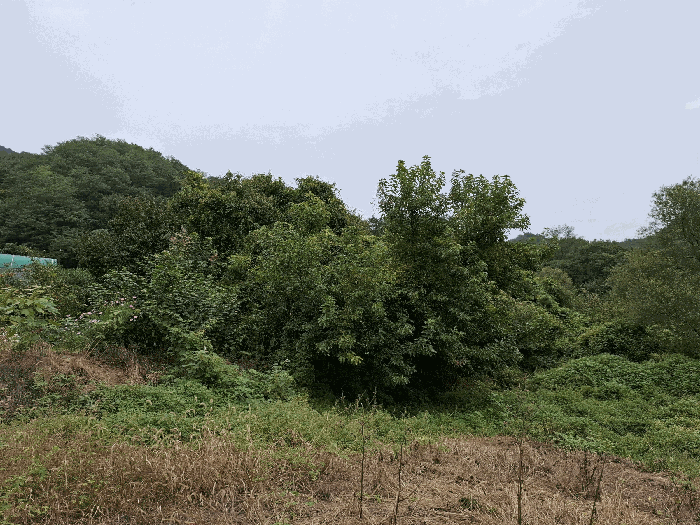 충청남도 공주시 오곡동 480-1
