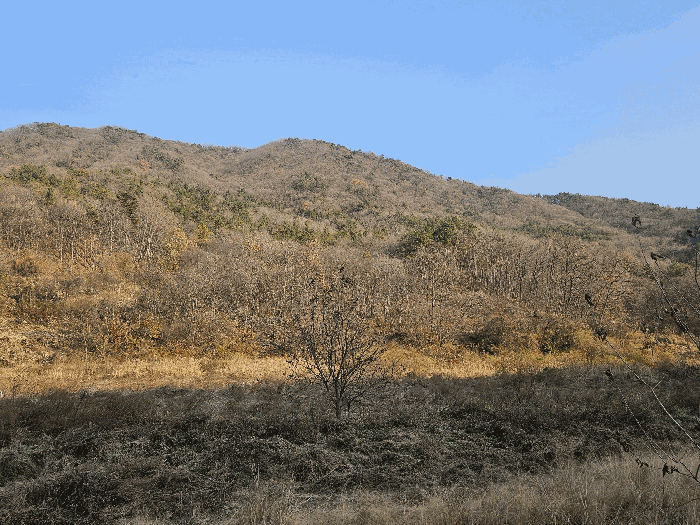 충청남도 공주시 사곡면 화월리 산18-7