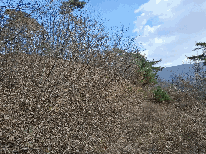 충청남도 공주시 사곡면 월가리 산90-1